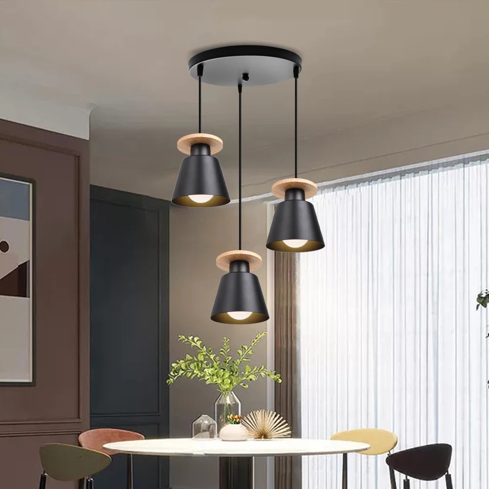 Iron LED Pendant Light in Black or White / Light Source Not Included / Black
