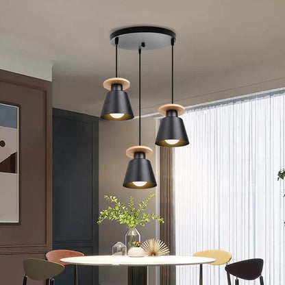 Iron LED Pendant Light in Black or White / Light Source Not Included / Black