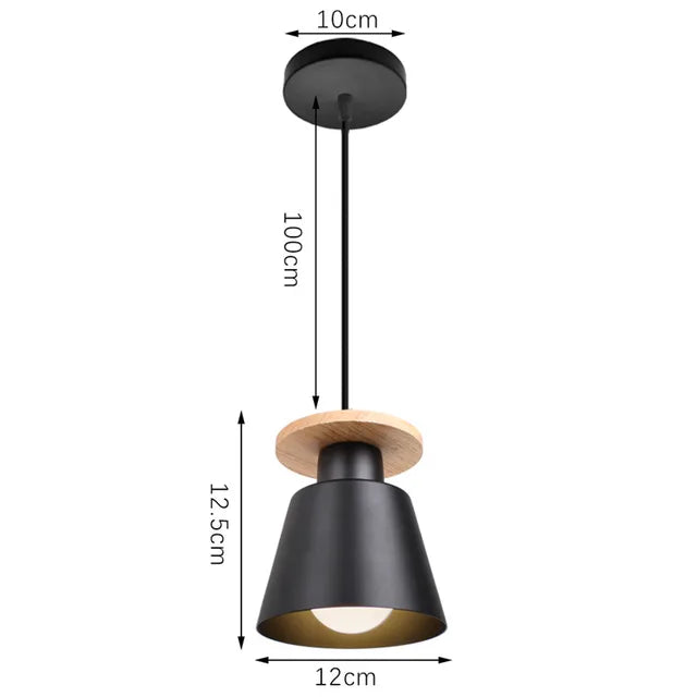Iron LED Pendant Light in Black or White / Light Source Not Included / Long Brush Holder White