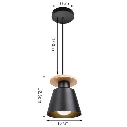 Iron LED Pendant Light in Black or White / Light Source Not Included / Long Brush Holder White