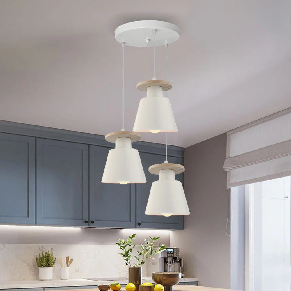 Iron LED Pendant Light in Black or White / Light Source Not Included / White