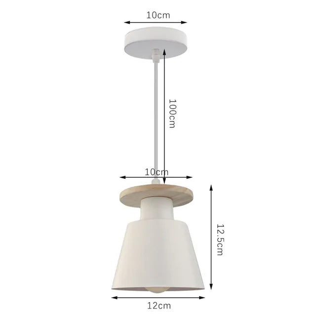 Iron LED Pendant Light in Black or White / 9W Warm Light / Black