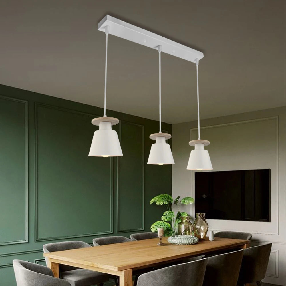 Iron LED Pendant Light in Black or White / Light Source Not Included / Disc Black