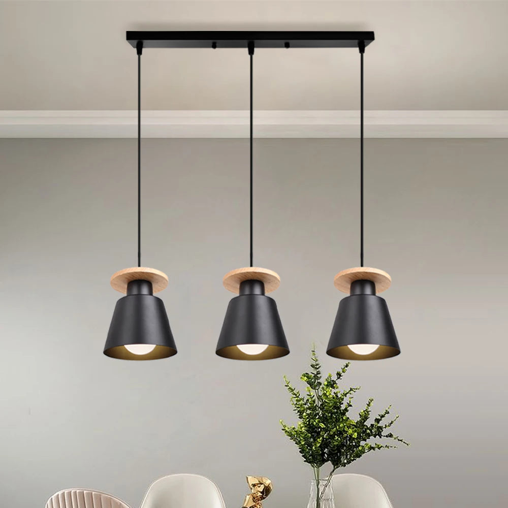 Iron LED Pendant Light in Black or White / Light Source Not Included / Disc White
