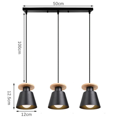 Iron LED Pendant Light in Black or White / 9W Warm Light / Disc White