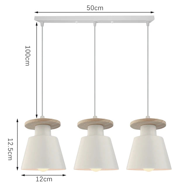 Iron LED Pendant Light in Black or White / 9W Warm Light / Long Brush Holder Black