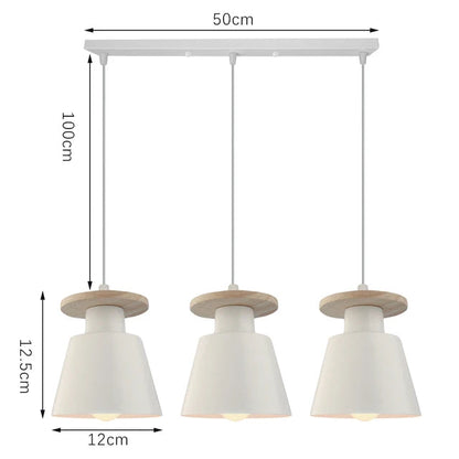 Iron LED Pendant Light in Black or White / 9W Warm Light / Long Brush Holder Black