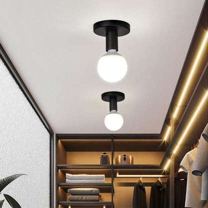 Nordic Iron Ceiling Light in Black or Silver / Warm Light / Silver